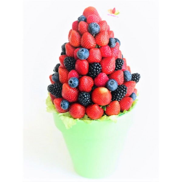Frutas del Bosque